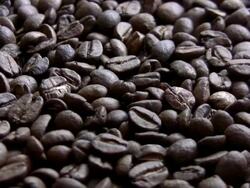 The coffee beans Stock Footage