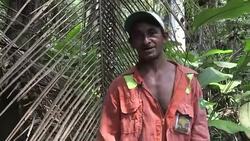 VOICED : El murumuru secreto de belleza brasileno News Clip