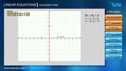 Pair of Linear Equations: Coincident Equations Instructional Video