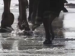 CU Camel and human walk over wet area of salt flat / Republic of Djibouti Stock Footage