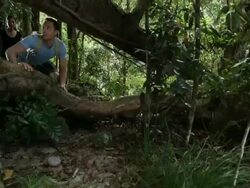 CU, CS, Couple hiking in tropical rainforest, Mossman, Queensland, Australia Stock Footage