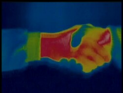 Thermographic image, CU hand shake, identical shots with info bar on DB 302 Stock Footage