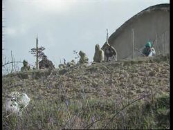 Albania - Militants move further north News Clip