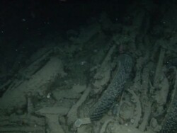 Shipwreck SS Thistlegorm Stock Footage