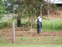 MS PAN Man and boy working at farm / Manitoba Community, Close to Santa Cruz de la Sierra, Bolivia Stock Footage