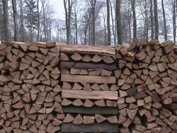 MS Shot of stacked firewood in forest / Orscholz, Saarland, Germany Stock Footage