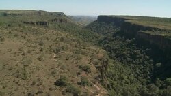 Lush trees fill a gorge in Cuiaba, Brazil. Stock Footage