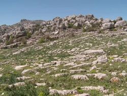 MS LA Shot of El Torcal de natural park karst landscape and limestone rock / Antequera, Andalusia, Spain Stock Footage