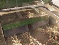 Close up of the combine's cutter head as it gathers the onions on the ground. Stock Footage