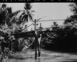 VIETNAM REPORT News Clip