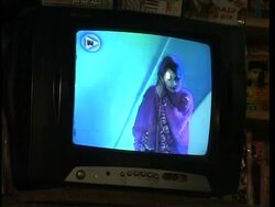 Afghan woman voted off "idol" show in 3rd place, reax News Clip