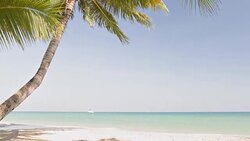 Untouched beach Stock Footage