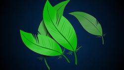 TED-ED: How do we know what color dinosaurs were? - Len Bloch Instructional Video