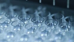 96 well plates on the Plate washer in laboratory Stock Footage