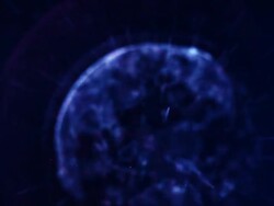 Digital world - blue Stock Footage