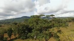 AERIAL Countryside in Costa Rica Stock Footage