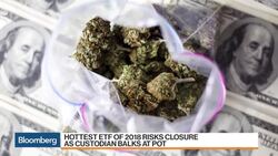 Pot ETF at Risk of Closure as Custodian Balks News Clip