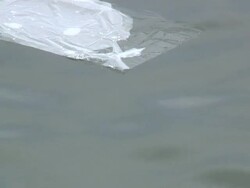 Trash - HD 1080/60i Stock Footage