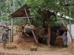 Unidentified factory workers work a husking machine Stock Footage