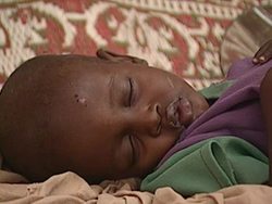 Famine and Drought in Ethiopia News Clip