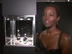 Christie's Previews the Ponahalo Diamonds Before Auction Stock Footage