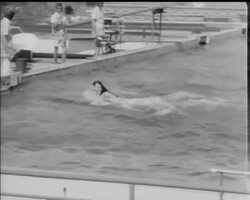 SKI PULLING DOLPHINS News Clip