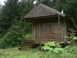 Medium static - An abandoned cabin stands in a clearing in a forest / Afognak, Alaska, USA Stock Footage