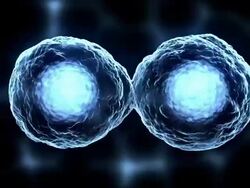 cell division or mitosis blue Stock Footage