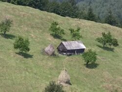 The Cottage Stock Footage