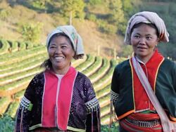 Lahu hill tribe woman Stock Footage