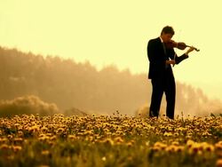 HD DOLLY: Musician Inspired By Nature Stock Footage