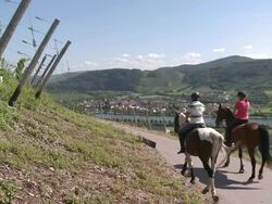 WS  View of equestriennes riding at village Ayl, Saarburg country / Ayl, Saar-Valley, Rhineland-Palatinate, Germany  Stock Footage