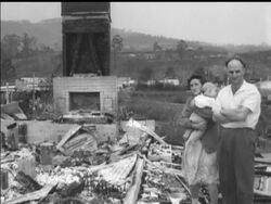 TASMANIA'S AGONY News Clip