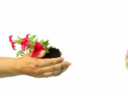 Hand of Peace Stock Footage
