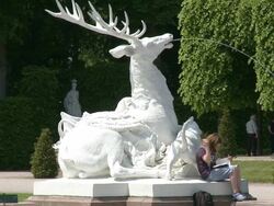 MS Girl reading book at fountain in castle gardens / Schwetzingen, Baden-Wuerttemberg, Germany Stock Footage