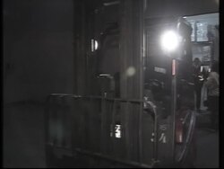 Cruelly-treated chimp leaves Chile for Africa News Clip