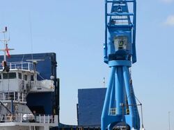 Port Dock Crane loading bags Stock Footage