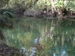 Florida Spring Stock Footage