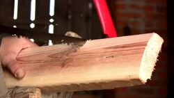 Woodcutter Stock Footage