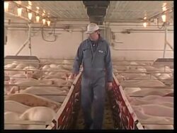 Hillary Clinton to arrive in Iowa as part of presidential campaign News Clip