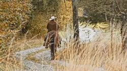 LD Cowboy riding his horse through countryside Stock Footage