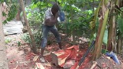 VOICED : DRCongo artists look for a local audience News Clip