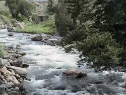 Gardener River at the North Entrance, Yellowstone NP, United States Stock Footage