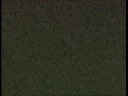 Microscopic, Salmonella typhimureum bacteria Stock Footage