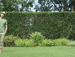 Camera moves to reveal man watering garden with hose pipe Stock Footage