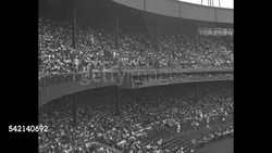 Women baseball fans at game in New York City News Clip