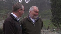 Bristol Zoo donates penguins to Tbilisi Zoo Instructional Video