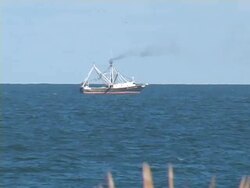 Shrimp Boat Stock Footage