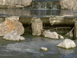 HD: Water pollution Stock Footage