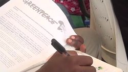 CLEAN : Greenpeace urges defence of Congo rainforest in Cameroon meeting News Clip